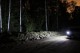 Сигнальные светодиодные лампы